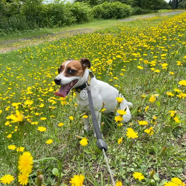 D3c86d38 d23b 469f 918a 5bd1944c3345 1657017493308