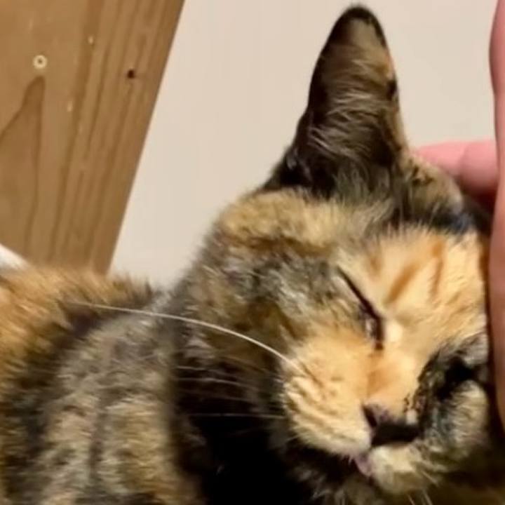 D3c870f7 b48f 48ce 9297 5ecfb503daee 1735033033282