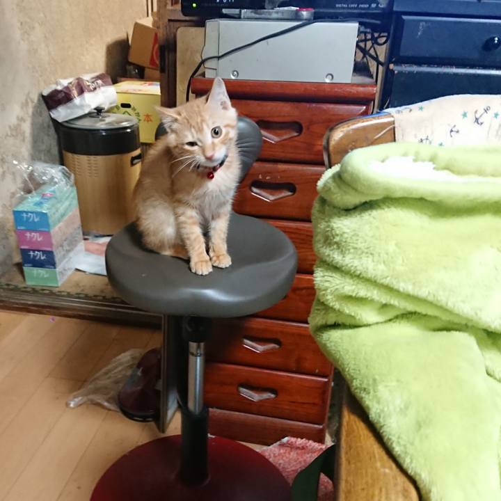 D3c89107 f7cf 4f40 a3d3 bc682c1ee4ea 1631824526840