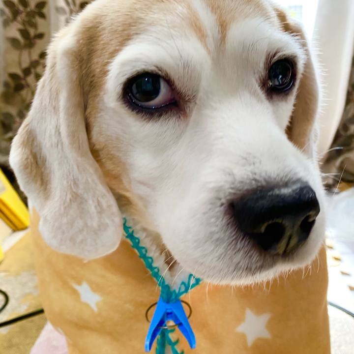 D3c89737 9da0 4a57 a119 88f14133f74d 1611635093295