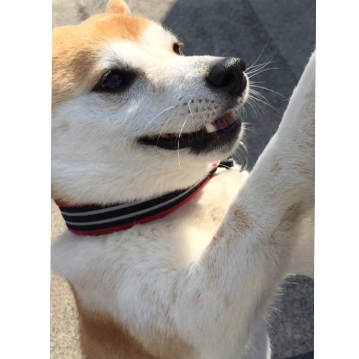 D3c8a27a a3f4 4caa bb67 ea9b6eaee6e0 1522113838503