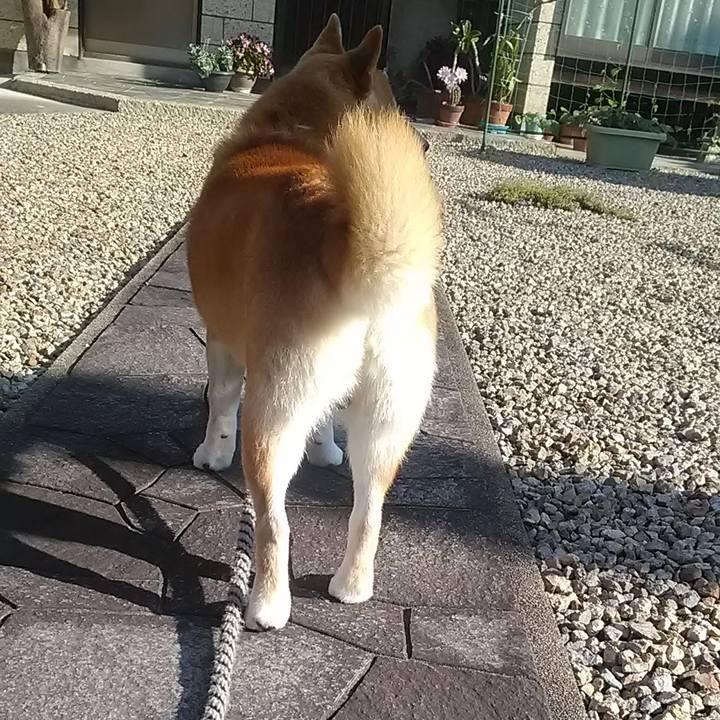 D3c8a305 a9f6 42ec 9871 bb7efe4912c8 1590632897563