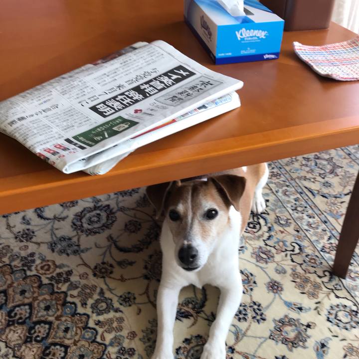 D3c8d0b3 7b7a 4cbb 975b cf67b5a112d4 1558760077260