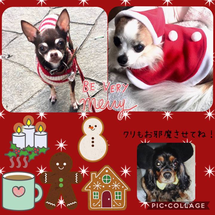 D3c8ea6b 8709 47c2 91f2 98b8aebf2b6e 1545110815817