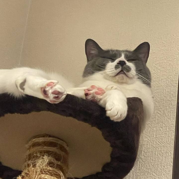 D3c92343 c077 412a 8550 0d9e1652889e 1751553050340