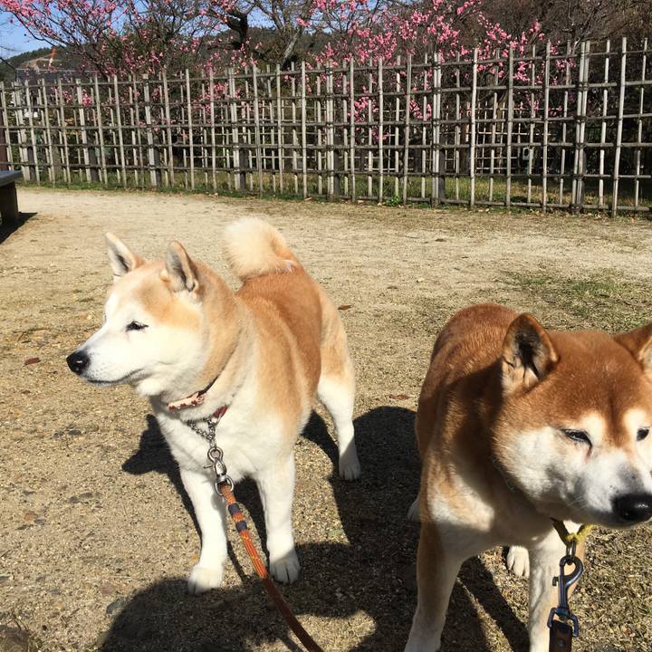 D3c94678 7562 4595 a1af 2fcd7d4ea22e 1521864282627