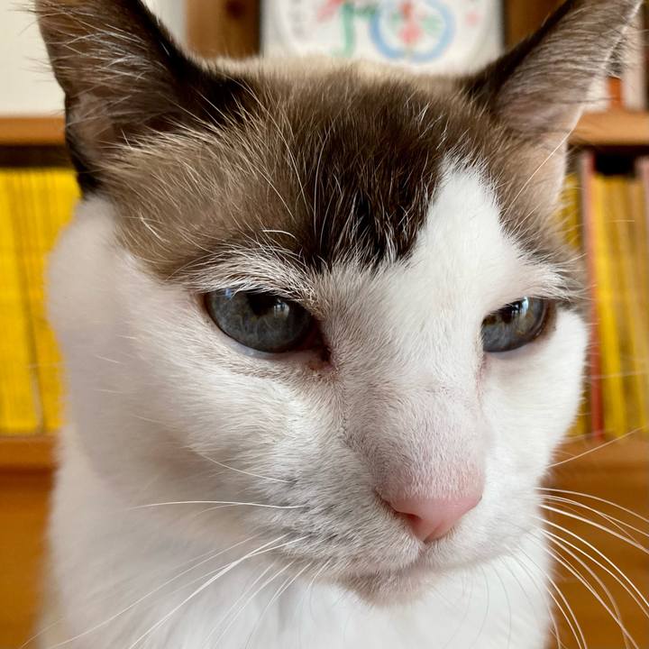 D3c9489f 509a 4a41 8a2b 9f3f026c22c4 1670041846806