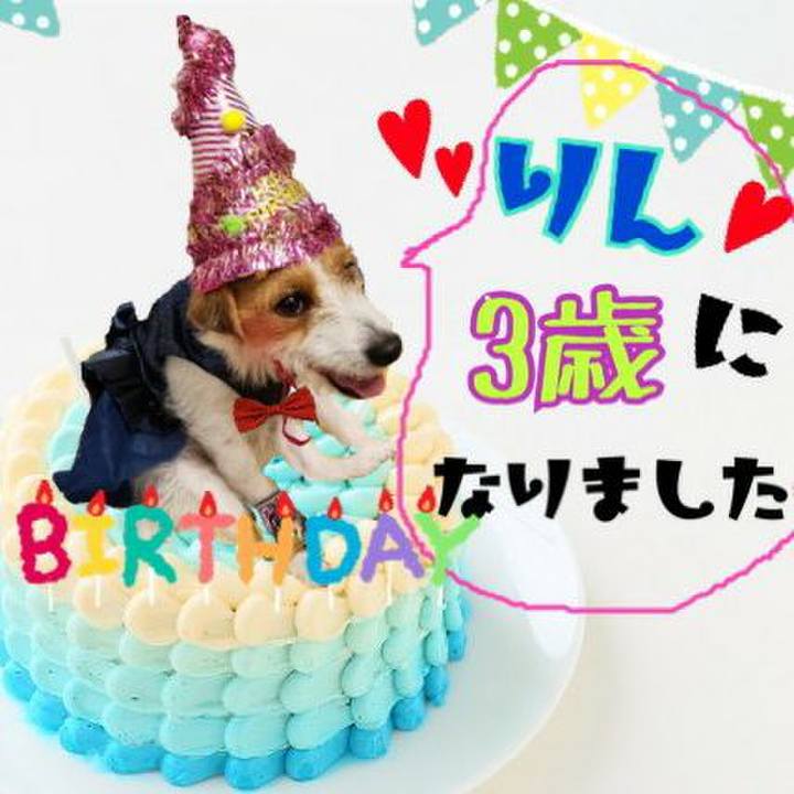 D3c9798d 38f1 4840 981f 82869b9786c3 1572356422718