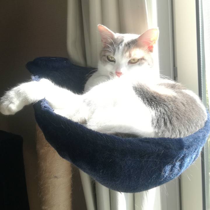 D3c9af2d b1a4 4960 9f97 829c7e375005 1552036157867