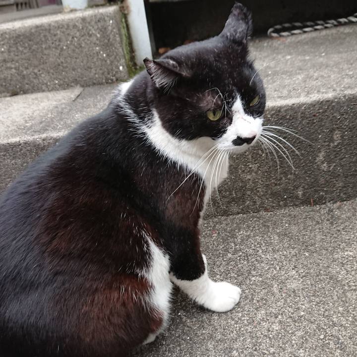 D3c9b47c a1e5 4f9e ba49 272ba80718bc 1541234812292