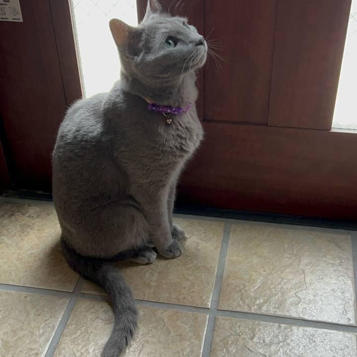 D3c9d843 d52b 4c3d 9932 8c59d6ee55f6 1757374783020