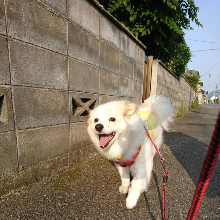 D3c9dc14 39e0 4d05 8e88 9b8984adf773 1529961812503