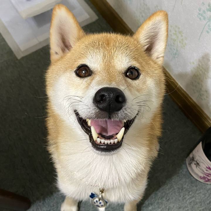 D3c9f079 01a5 4bef ab19 48fd85ec29da 1604309052454