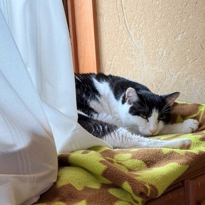 D3c9f214 175e 411b bd93 4d573428ddc4 1764727134099