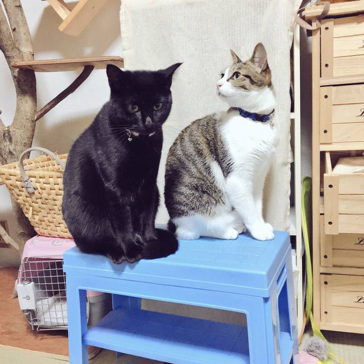 D3c9fe0f 299b 4a4e ac25 c544f478edca 1510635493117