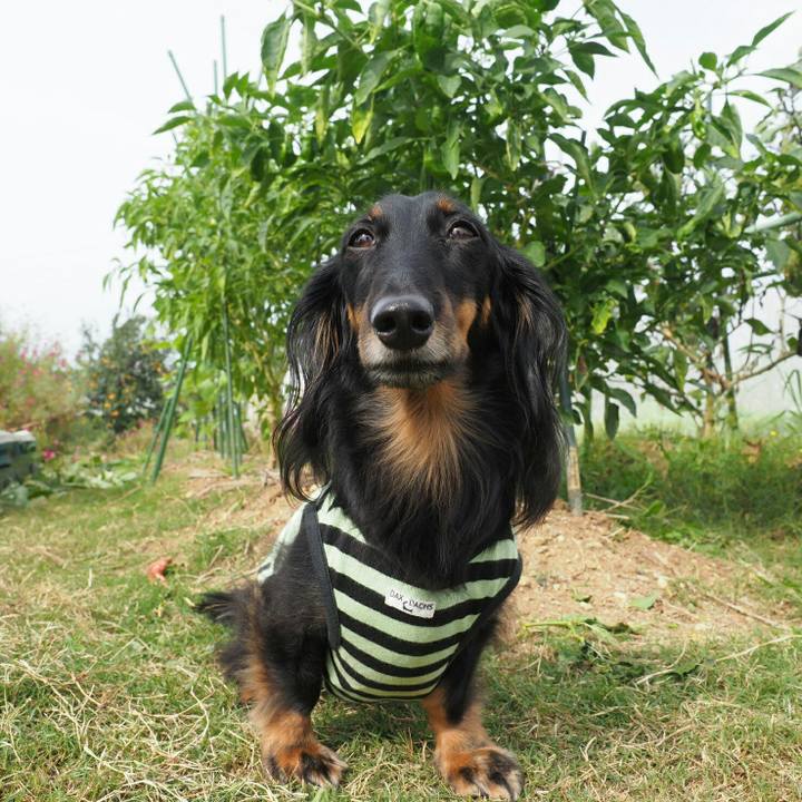 D3ca141d 3fb7 4b41 ab6f 213853099d06 1570771636803