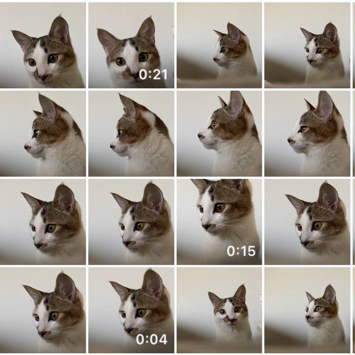 D3ca3060 64d2 47b3 8c61 adaa8a8cbbfc 1712740147977