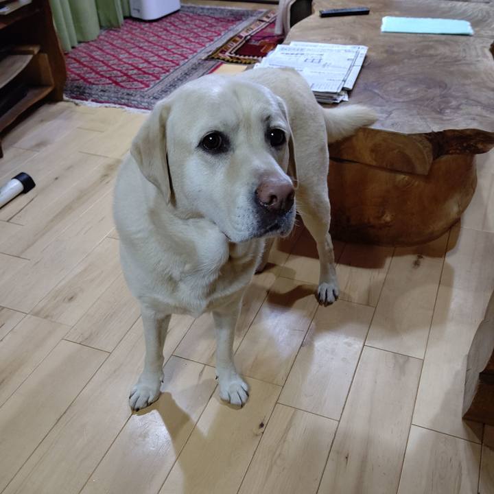 D3ca719f 0ab2 40c3 83a6 25428090b484 1668772167716