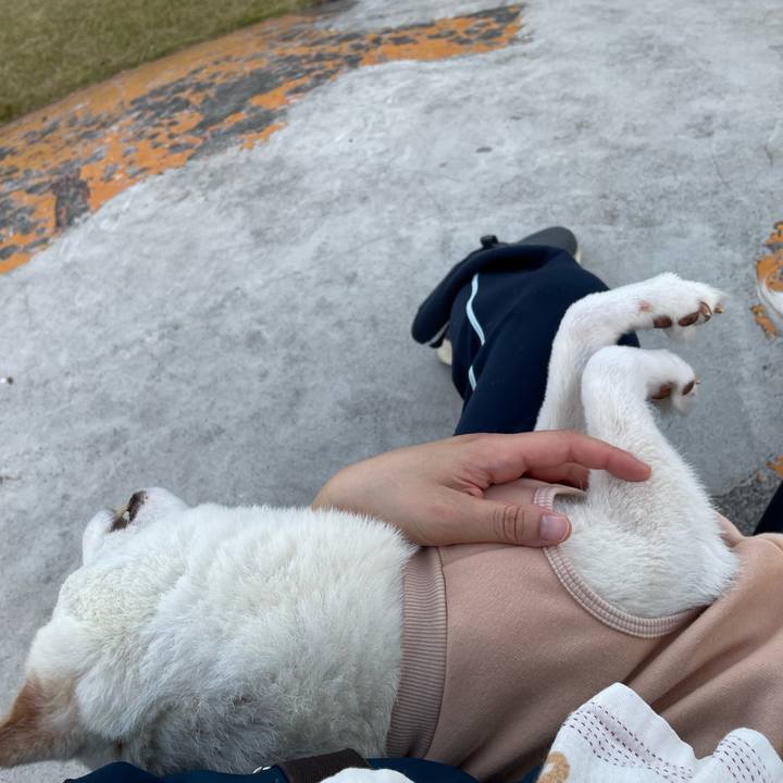 D3ca760e 5eec 4f74 88bc 3c1dc7a03558 1669630933032