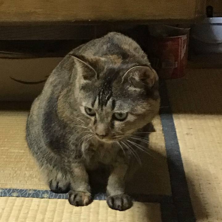 D3ca9713 2a8a 4ba1 9b41 177dc55af721 1760004183386