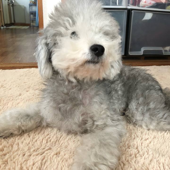 D3caa6eb 0255 4b73 9f55 ed240f7e174f 1542584786217