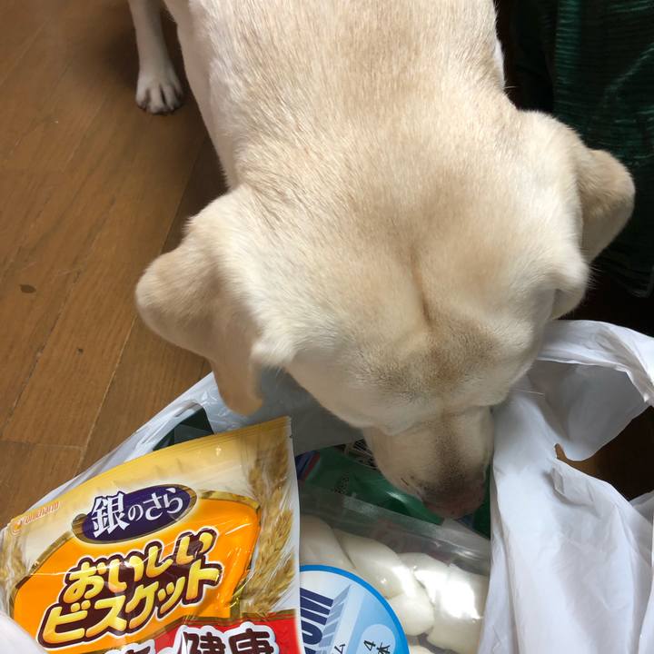 D3caf268 7124 4759 9db7 769947ad130b 1578058192117