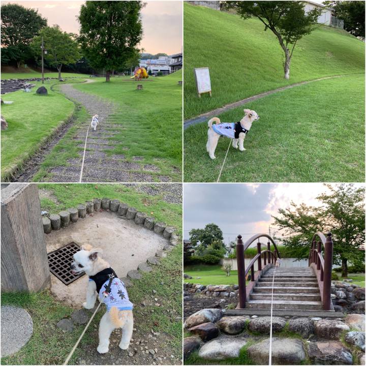 D3cb39c2 b32d 426b 889b e7a0f9cf704c 1564656488037