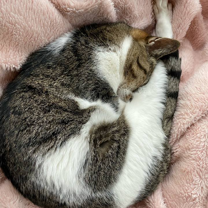 D3cb5a57 9477 45cd be40 7093cf0106fe 1636250620858