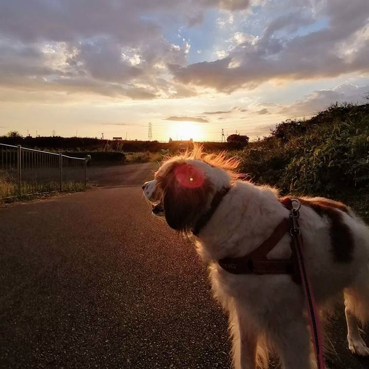 D3cb7d5e 156d 433f b5ff 3ff8b9c66a9e 1633779625516