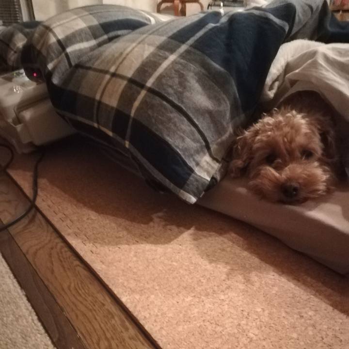 D3cc24f1 d1c2 40a8 9896 7d245655c884 1547113239792