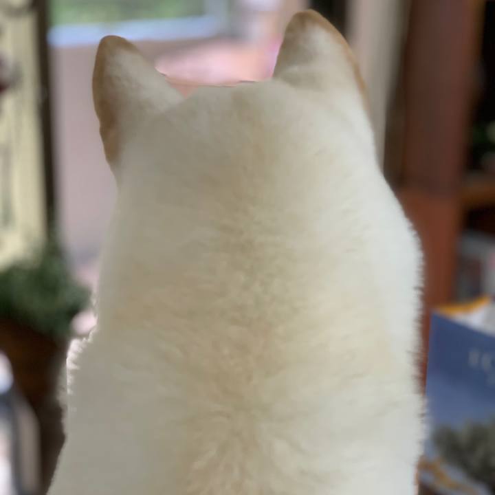 D3cc55e4 974b 4448 bc14 803bcc4f8e12 1569315661920