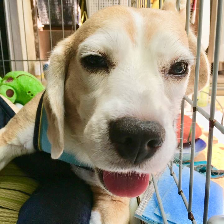 D3cc6b4d 91d0 439d 8f1d 89f20d23c16f 1564631778814