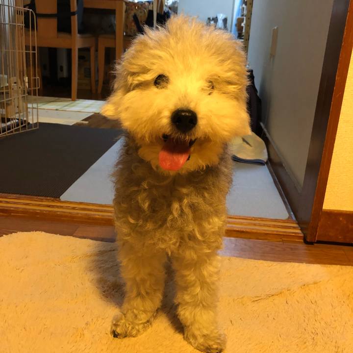 D3cc7565 9e90 4c76 ae2f 4db56cc81bd3 1658445841894