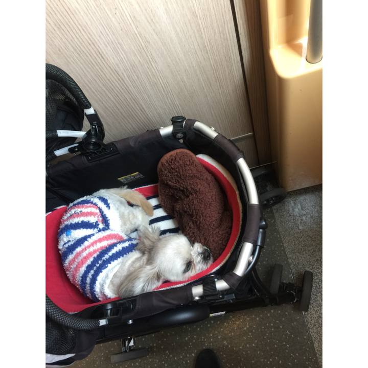 D3cc7de8 4b7c 40a7 9817 f7b1a26e3198 1519469895784