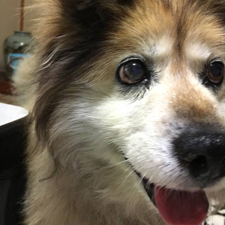 D3cc7f13 20f2 4fbc 80ff 28331a2dd2c4 1609600014565