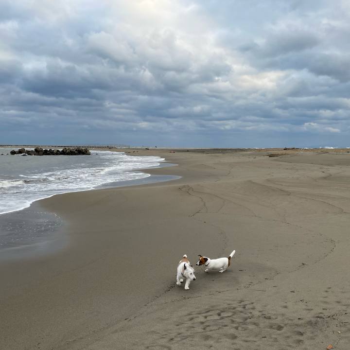 D3ccc09a 2b51 4b30 9aef ea5276df7e80 1638662904128