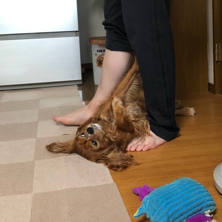 D3ccd7e0 c1ce 4db2 9420 c60d88c37ba1 1626301131106