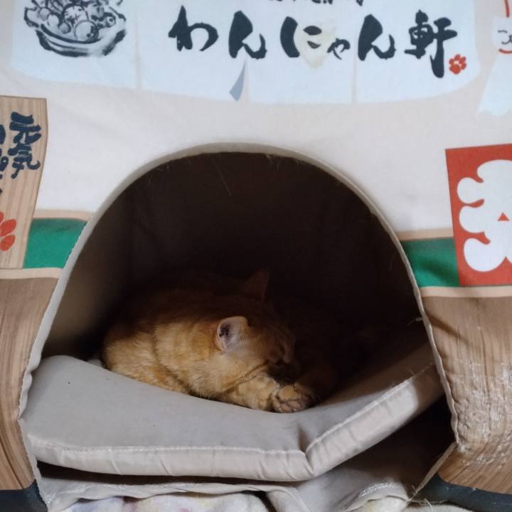 D3cd0970 79ed 4d03 bddc e2b0fd8bb6f7 1681563472237