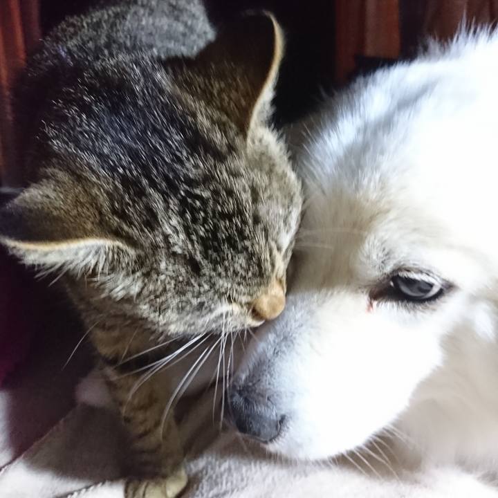 D3cd0c0f b4a0 4f0a 9c44 cdac1131f154 1553634920079