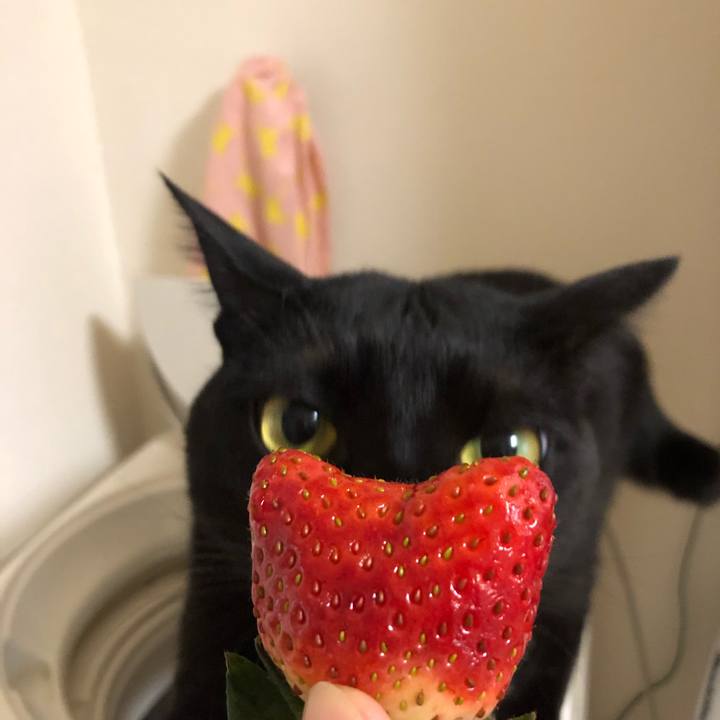 D3cd1a6a f739 4e22 aabd ddb1e9dd5b80 1547961314395