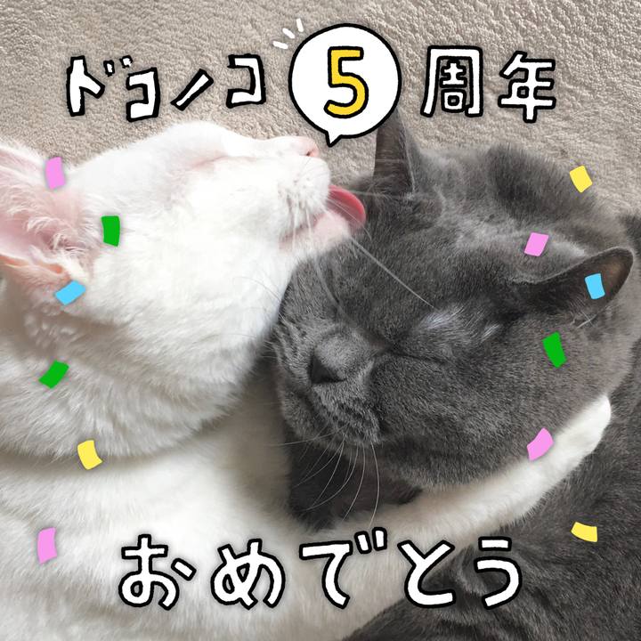 D3cd2427 cf3b 4839 a50f 096648854a7d 1622938217463