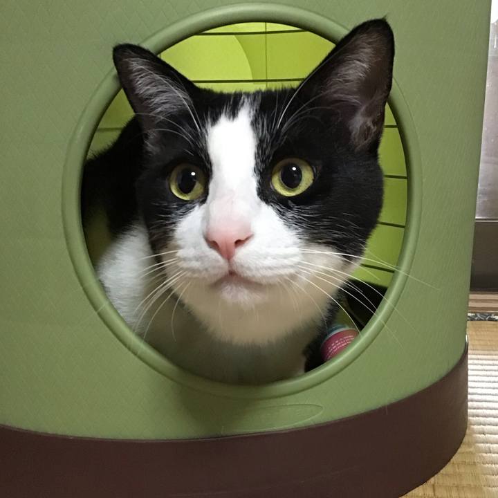 D3cd271b 134f 4c68 9b54 3f0c406b6959 1683439621372