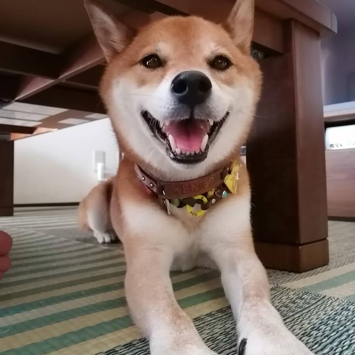 D3cd3776 f012 44dd 9988 8ef64ccc5f7e 1597555883622