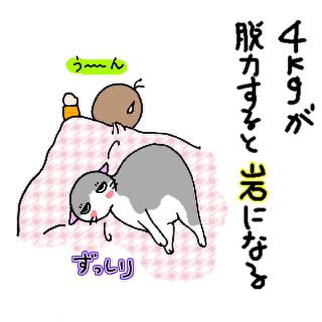 D3cd6ef6 2557 4882 b566 8d4ff7f683a9 1764911202372