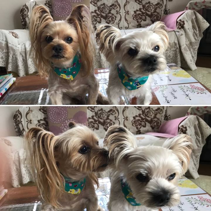 D3cd932d b805 426f 8f2b b5768dd9ddf6 1568797423807