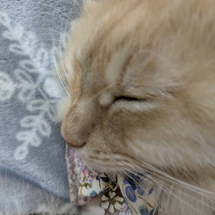 D3cd93ff a43f 4674 b72d 35cf7cdc641b 1766054292539