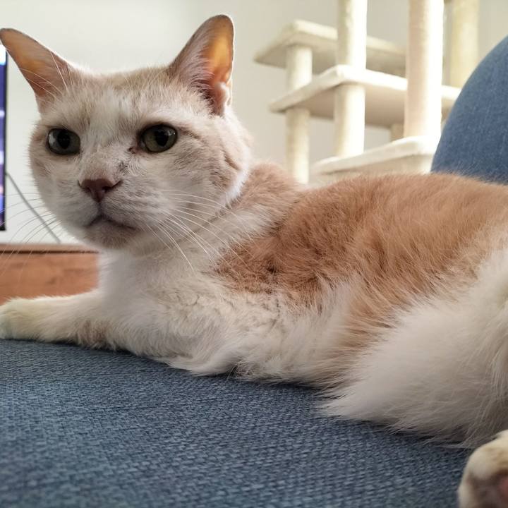 D3cd9883 1106 47ce bee6 351e62a417c6 1694729911010