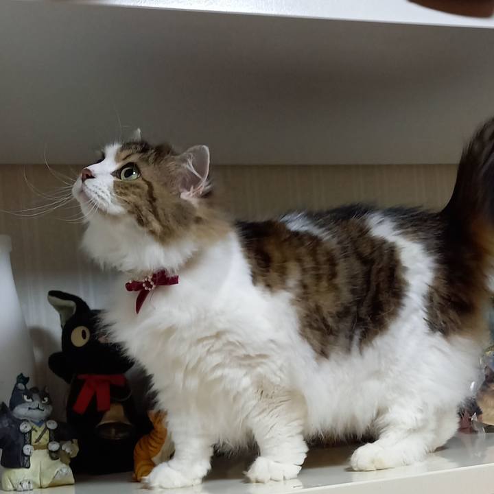 D3cda647 b1f8 4a17 b360 408333f8a3fa 1645532048793