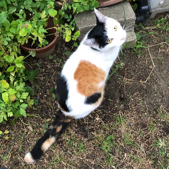 D3cdcb86 beb0 48ca 80af ca6156ff1017 1604701497553