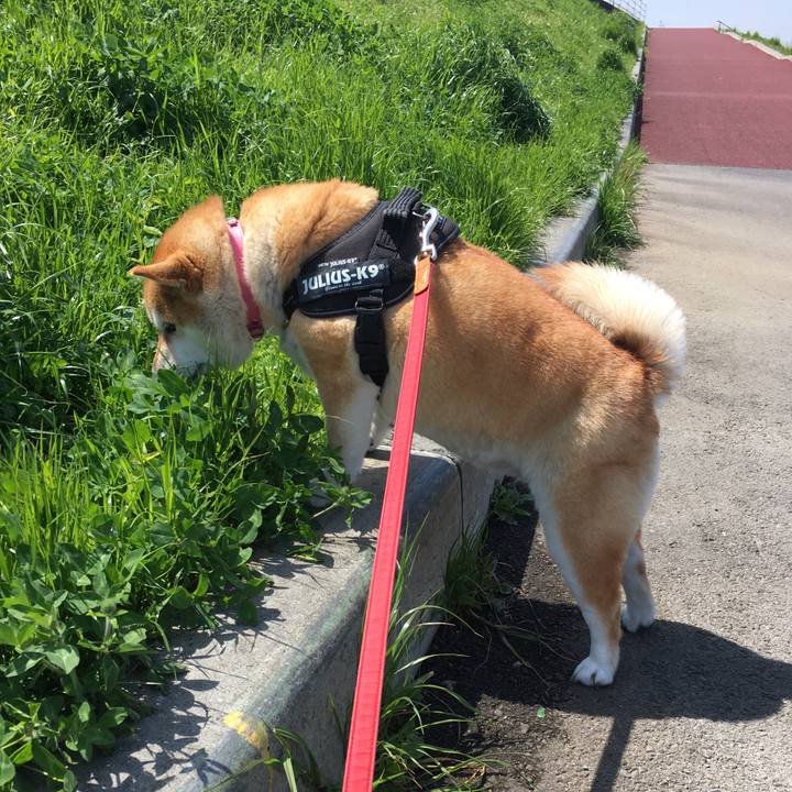 D3cdd735 fd9a 48f1 97d8 2b31dd04f4b4 1618886029890